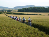 Walking in Alderton
