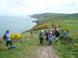 Cleeve Group in Cardigan Bay