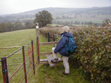 On the Cotswold Way, above Winchcombe