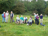Cleeve group at Dixton Wood