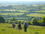Walking on Nottingham Hill