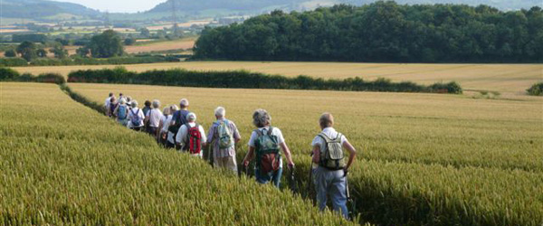 Rambling near Alderton